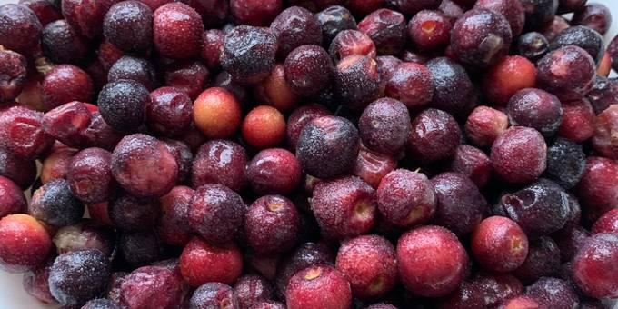 Top 10 Health Benefits of Grewia Asiatica (Phalsa)