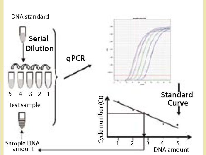 Yeast DNA Residue Assay Kits (qPCR) for Biological Research