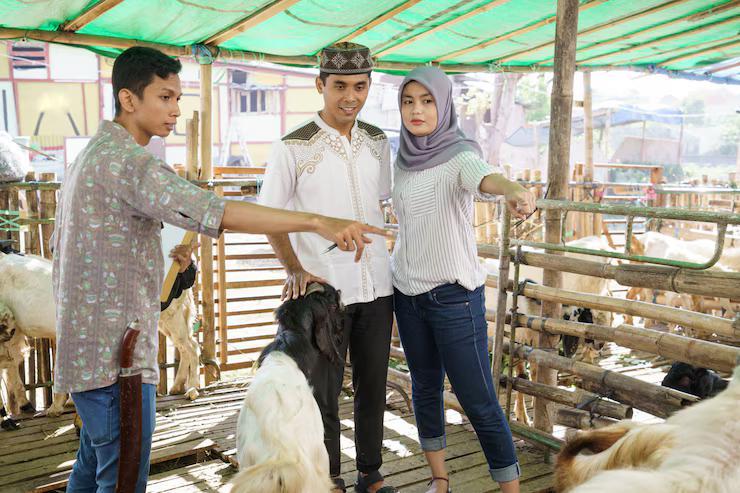 Rekomendasi Jasa Aqiqah Murah dan Berkualitas di Bandung