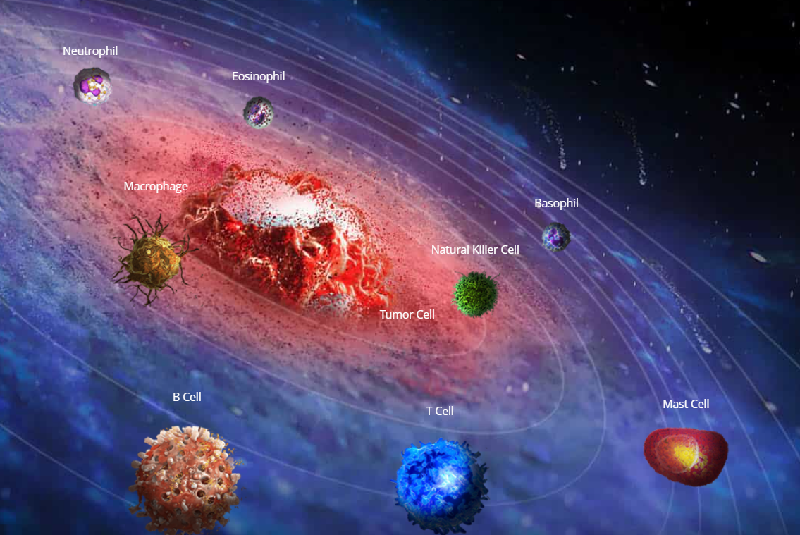 Explore into Pharmacokinetics/pharmacodynamics (PK/PD) of Antibody Drugs