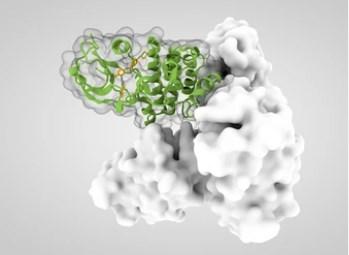 A Closer View: The Formation and Development of Breast Cancer