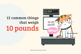 What Weighs 10 Pounds? A Fun Exploration of Everyday Items