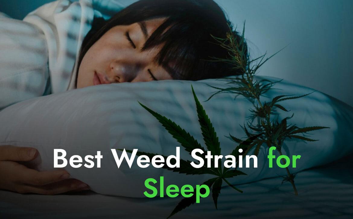 Which Strains Are Best for Sleep and Insomnia?