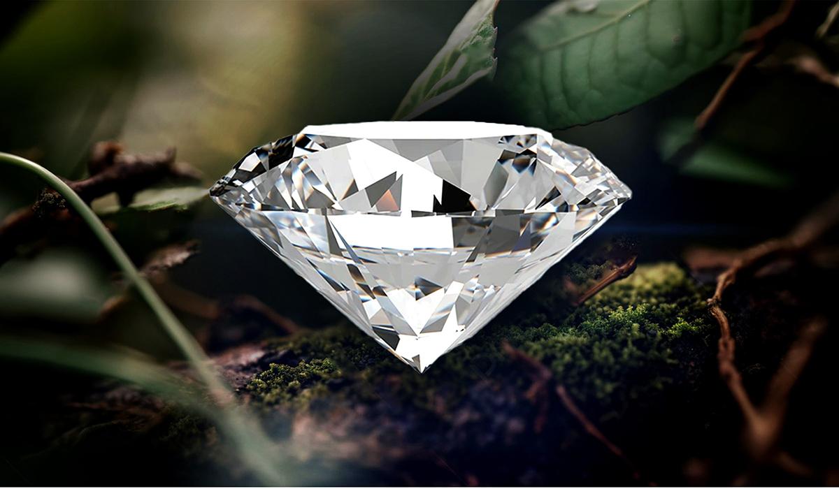 Diamond Inventory Software: Streamline Your Business Operations with DiamxPro