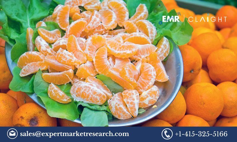 Orange Market Trends and Forecast 2024-2032: Growth, Applications, and Key Drivers 