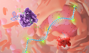 Which mRNA Vaccine Works Better Over Time?