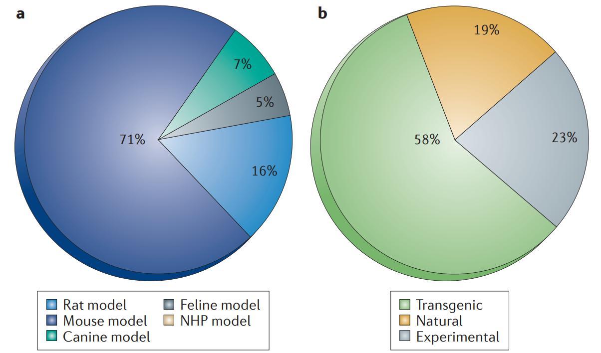 How Disease Models Help in Rare Disease Research