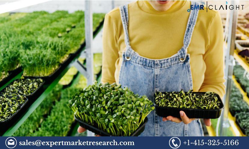 Microgreens Market Size, Share, Trends & Forecast | 2034