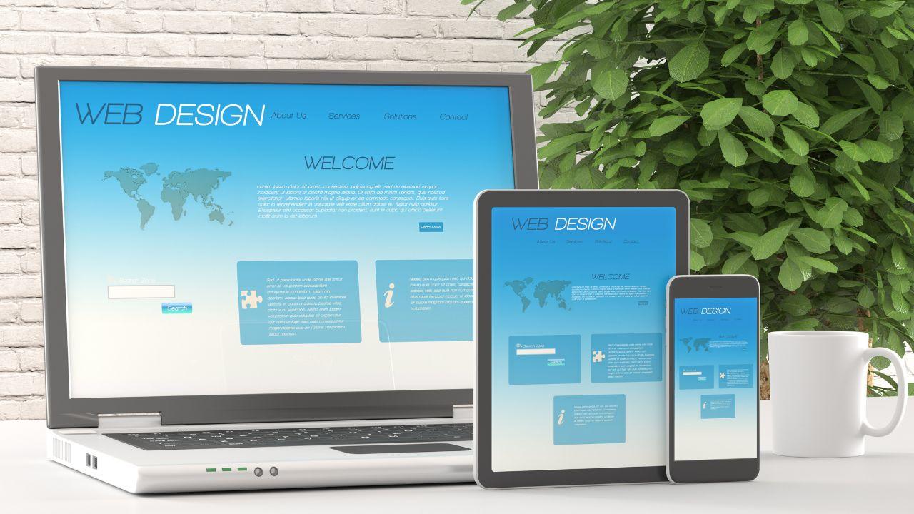 Key Features to Look for in a Professional Wix Web Design Agency in the USA