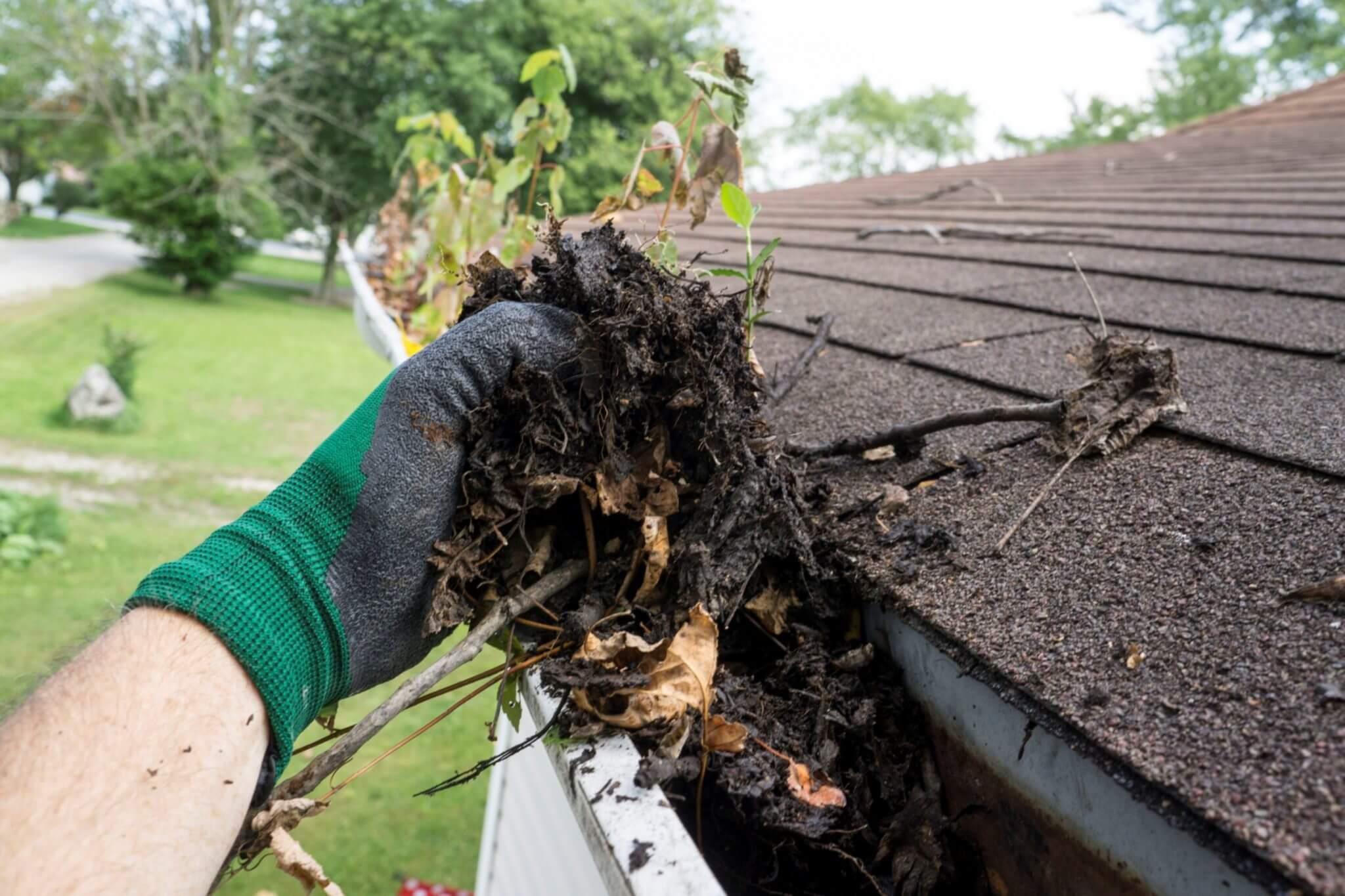 Commercial Gutter Cleaning Sydney: Ensuring Optimal Roof Performance