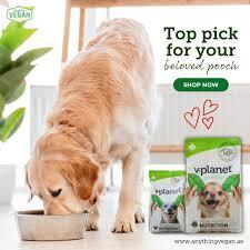 quality dog food dubai