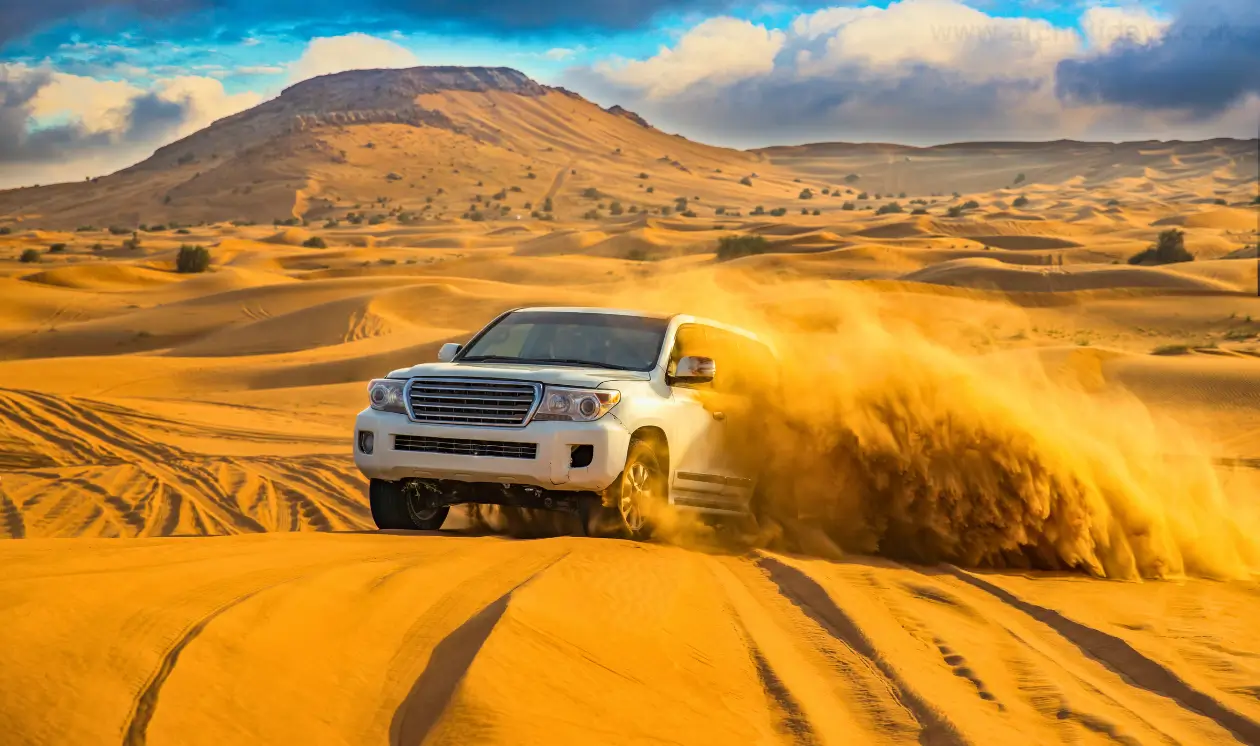 evening desert safari​ 