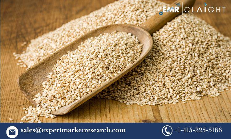 Sesame Seeds Market 2025-2034: Growth Drivers, Trends, and Future Outlook