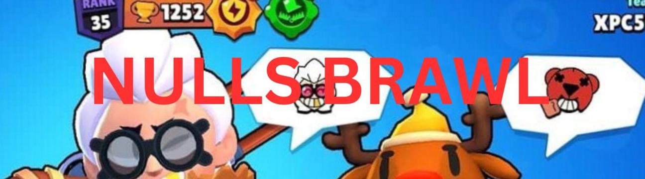 Nulls Brawl