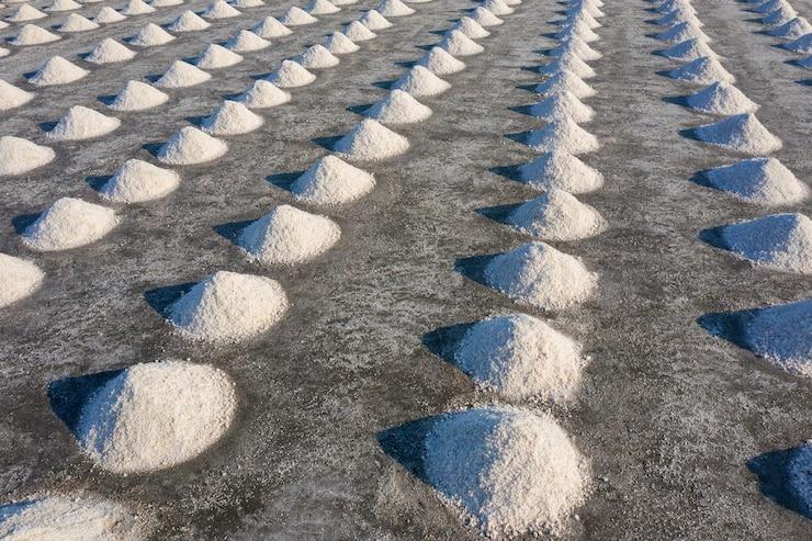 Sea Salt Manufacturing Plant Report 2025, Raw Materials and Machinery Requirements | IMARC Group