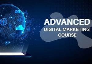 Digital Marketing Course vs. Self-Learning: Which One is Best?