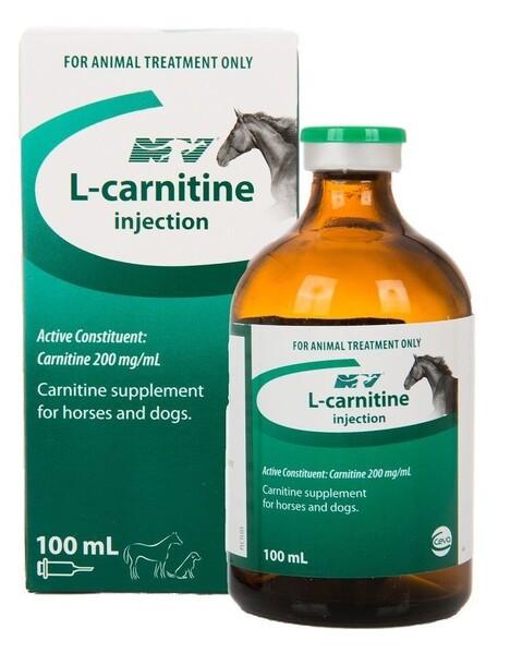 Exploring L-Carnitine: Health Benefits, Mechanisms, and Uses in Australia