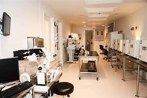 Step-by-Step Guide to the IVF Process at a Reputable IVF Center