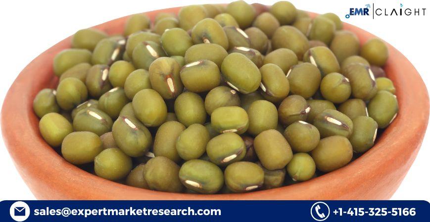 Mung Beans Market Size, Trends, and Forecast 2025-2034