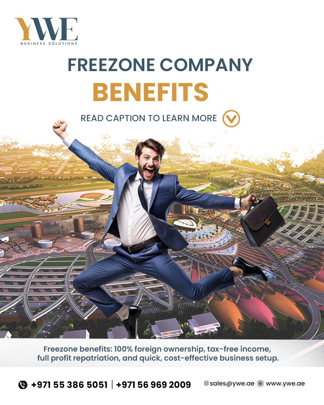 Offshore Business Setup Company