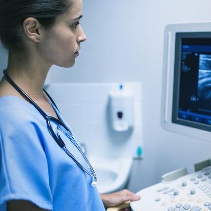 Medical Scribe