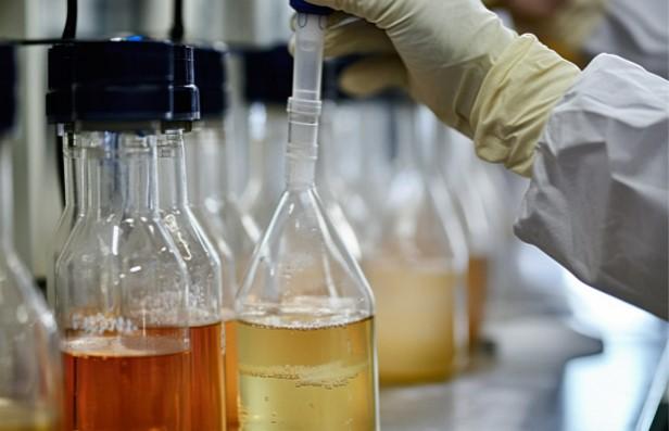 CD BioSciences Reveals New Energy Sustainability Solutions Through Environmentally Friendly Pellet Fuel