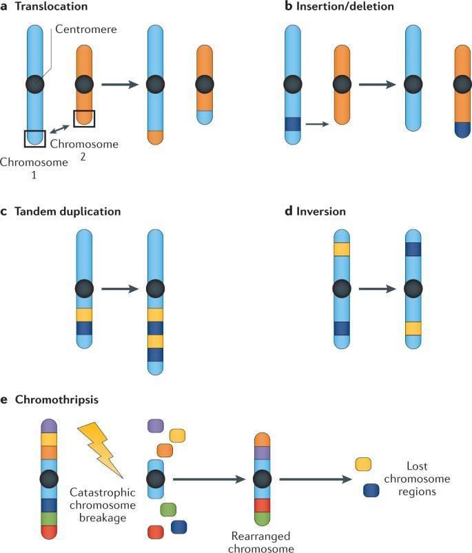Detecting Fusion Transcripts by RNA Sequencing in Screening Tumors