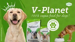 Best dog food for skin allergies in dubai