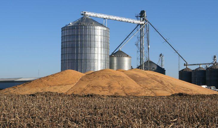 Grain Elevators: The Silent Giants Fueling Global Agriculture