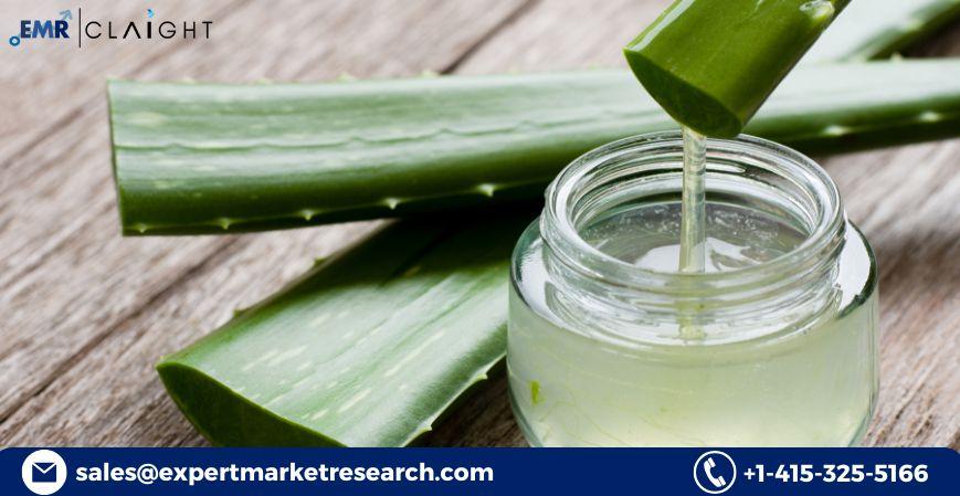 Aloe Vera Market Size, Trends, Growth Outlook & Forecast 2025-2034