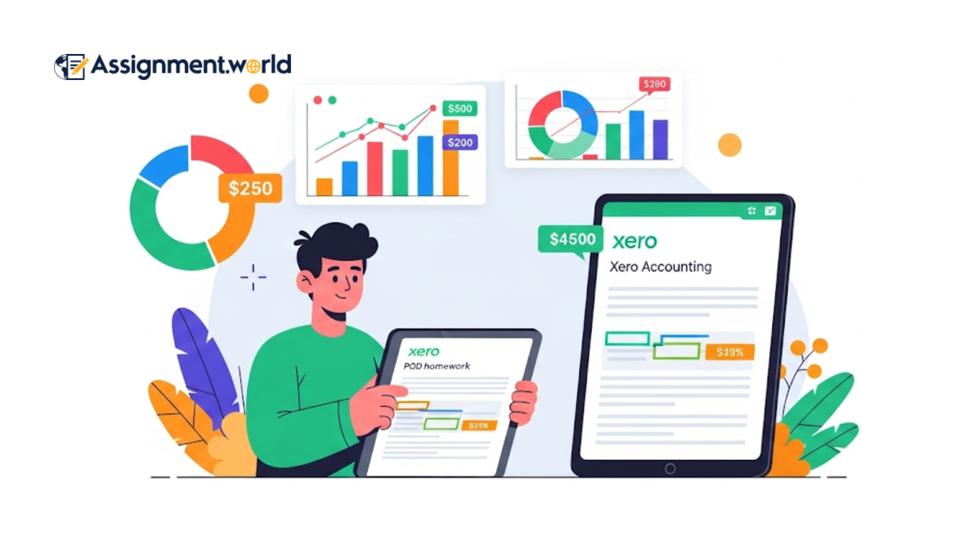 Expert Xero Accounting POD Homework Help for Top Grades