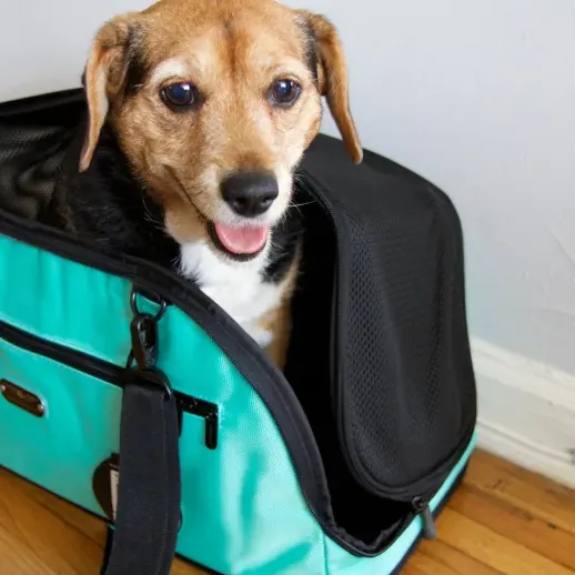 Dog Carrier