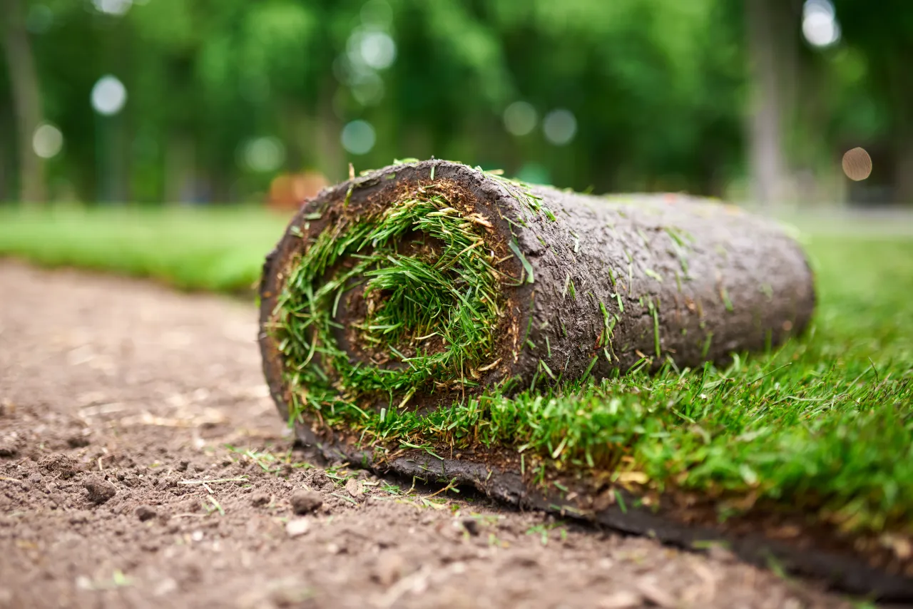 Turf Laying Sydney – Transform Your Outdoor Space The Right Way