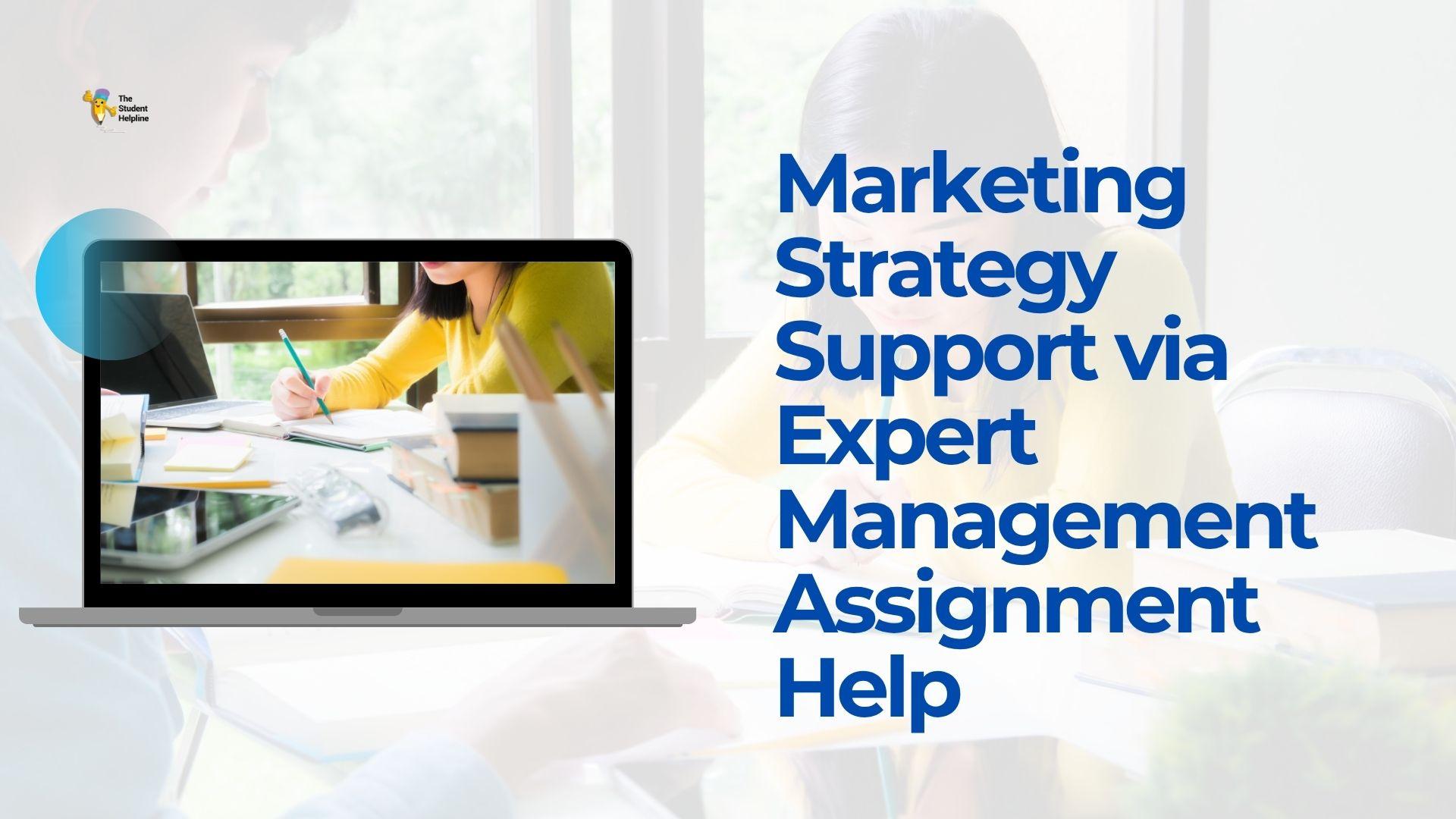 Marketing Strategy Support via Expert Management Assignment Help