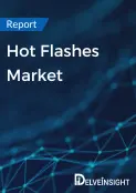 Unveiling the Global Hot Flashes Market: A Strategic Perspective