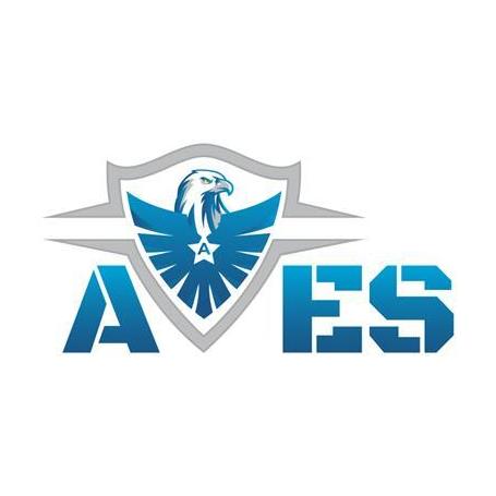 Avessecurity Managementsystem