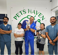 Pet Skin Care in Dubai: Solutions for Cats & Dogs