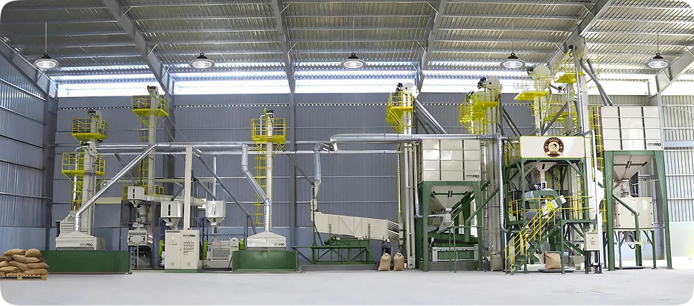 Premium Green Coffee for Quality Roasting | CPD