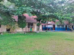 MEGASENSA – Cara Meningkatkan Kemenangan dengan Strategi Bermain yang Efektif