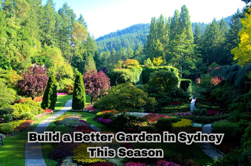 Build a Better Garden in Sydney This Season
