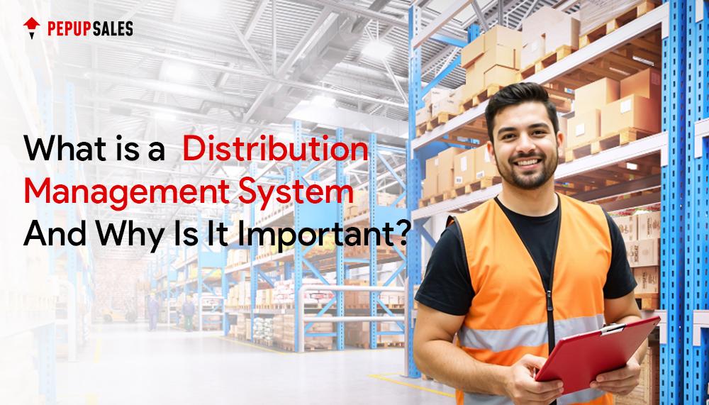 What Is Distribution Management System And Why It Is Important?