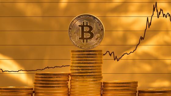 Connect Freelancing Platform