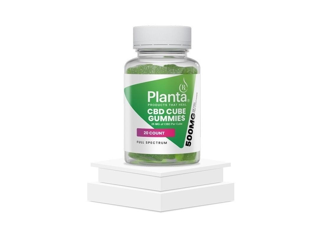 Connect Freelancing Platform