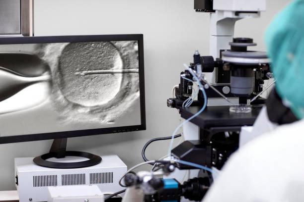 Top-Rated Clinics for Mini IVF in Lahore Offering Affordable Fertility Care