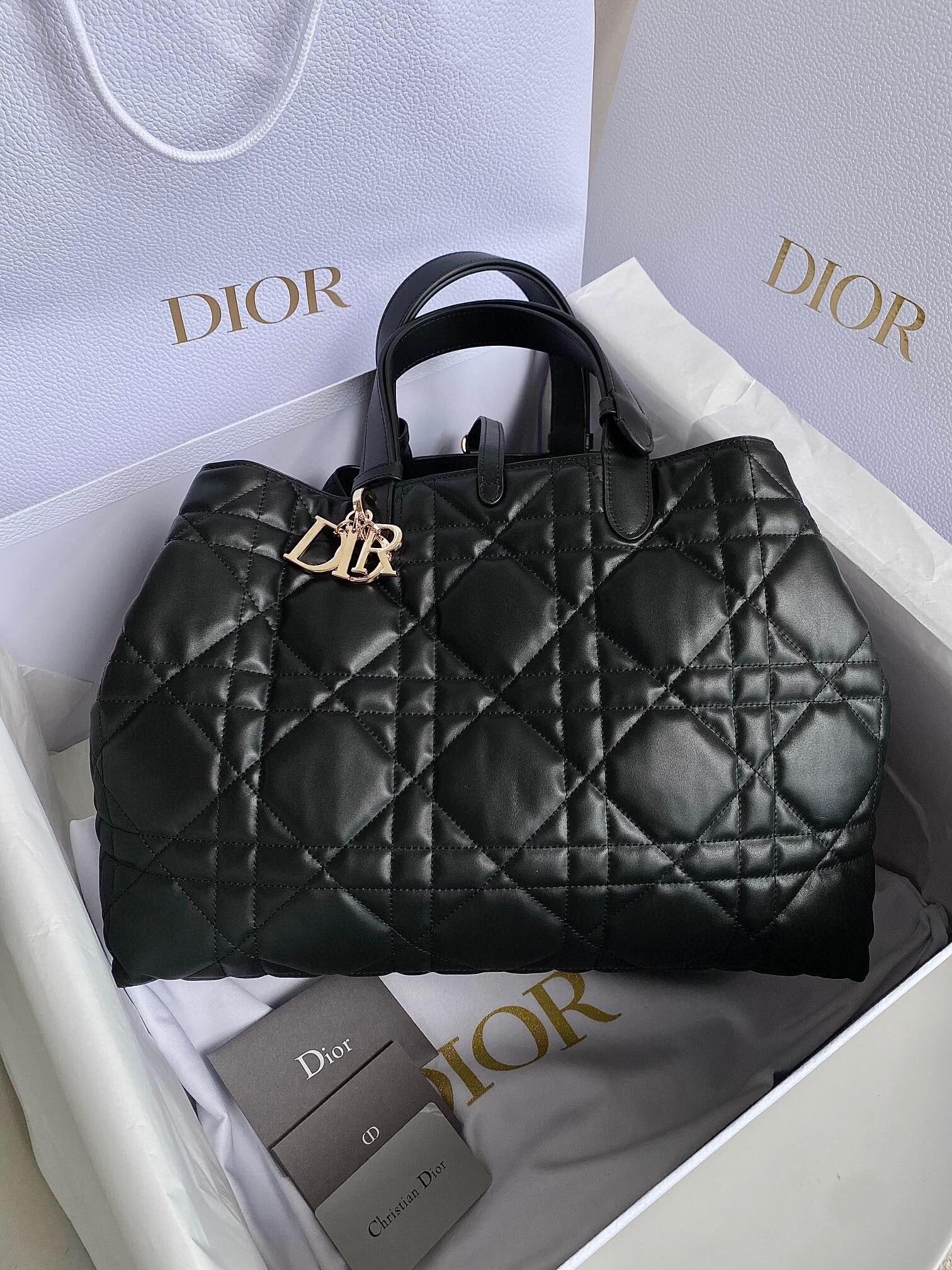 AAA Dior Bags The Hottest Models