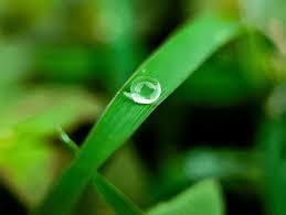  Perbandingan 7dew dengan Situs Judi Online Lain – Mana yang Lebih Unggul?