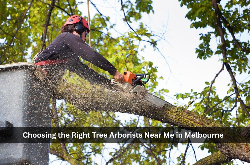 Choosing the Right Tree Arborists Near Me in Melbourne