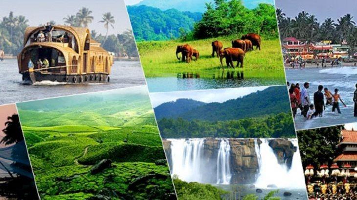Temple Towns, Forest Roads, and Local Life: A Car Journey Through Real Kerala