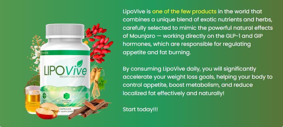 Connect Freelancing Platform