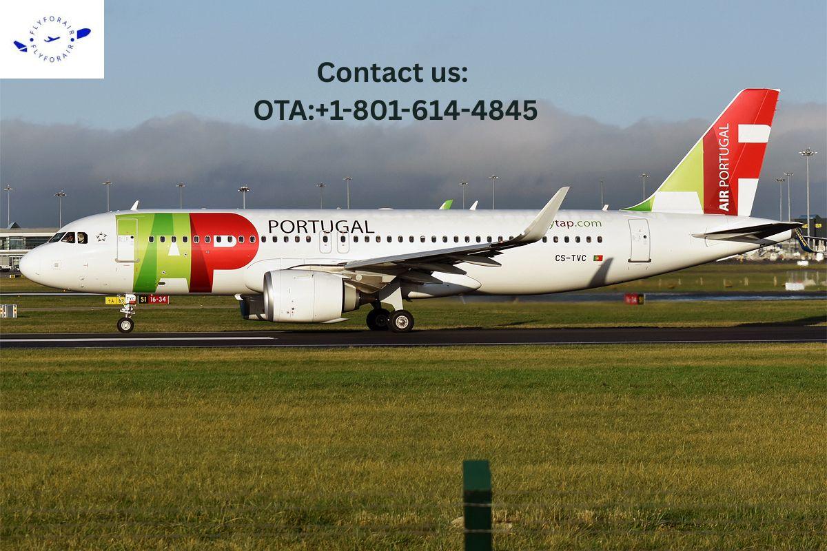 How do I talk to a human at TAP Air Portugal? Support That Listens!